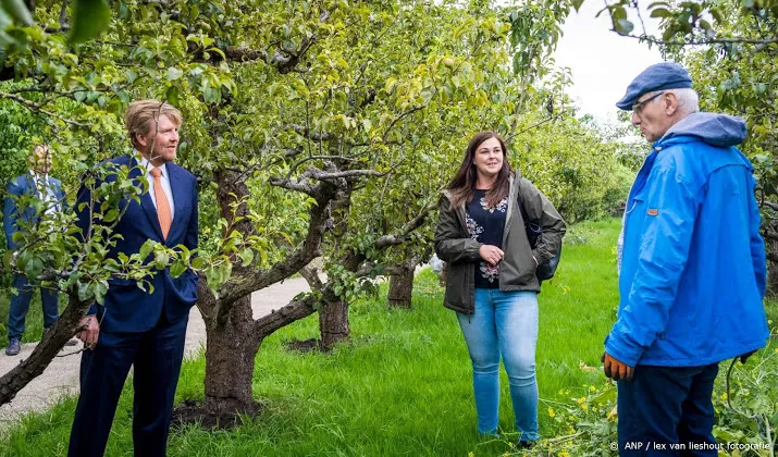 oranje fonds zoekt meer dan 38 000 maatjes