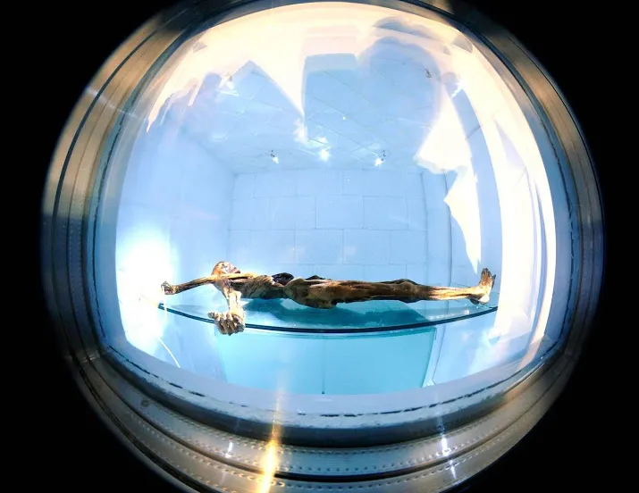 otzi gastheer haagse museumnacht
