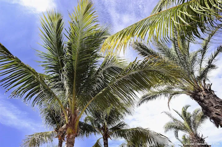 oud deelnemers temptation island onderzoeken juridische stappen