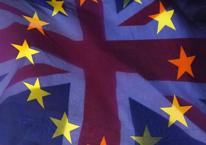 overheid moet ook klaar zijn voor brexit
