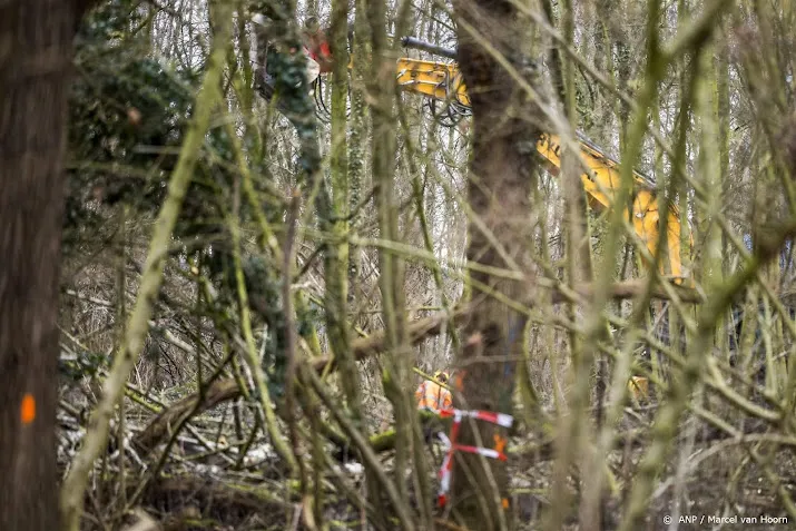 overijssel krijgt handhavingsverzoek om bomenkap stil te leggen