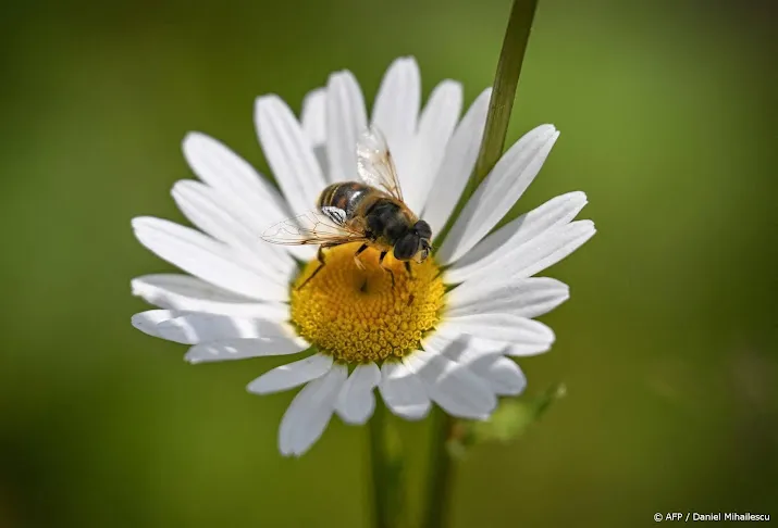 overijssel ziet biodiversiteit weer afnemen ondanks maatregelen