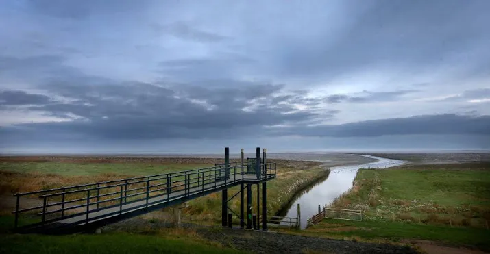 overlast en afgelastingen door slecht weer