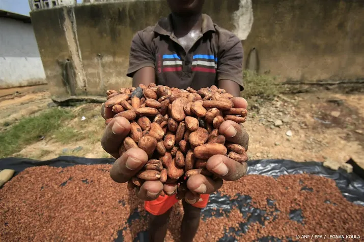 oxfam novib recordprijzen cacao gevolg van onderbetaling boeren