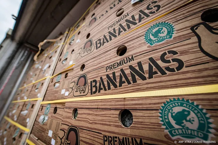 partij cocaine tussen bananen in hoogerheide