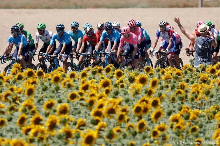 peloton in tour op weg naar colmar