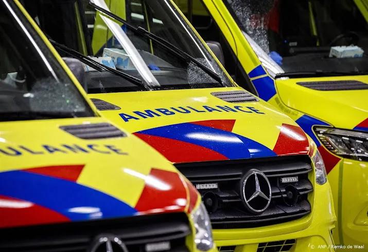persoon overleden door steekincident zutphen