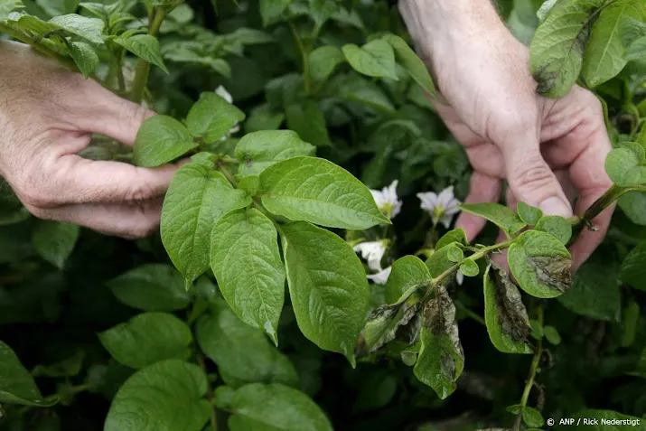 pesticiden bevinden zich overal drentse burgers willen onderzoek