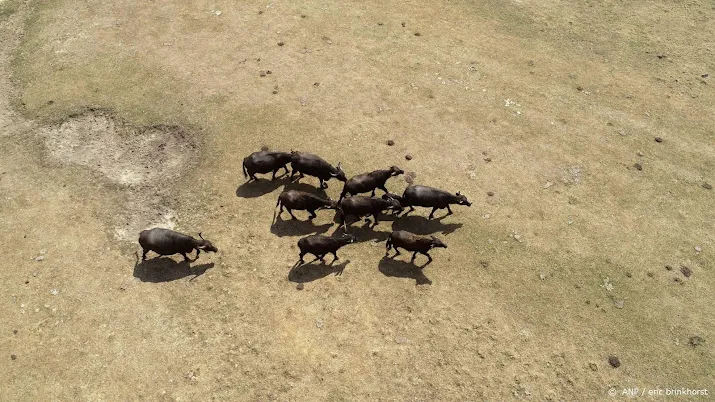 petitie wakker dier tegen hitteleed in veehouderij naar minister