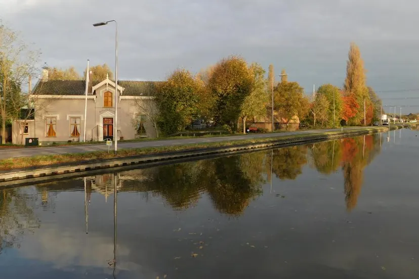 pia legerstee de vries den hoorn