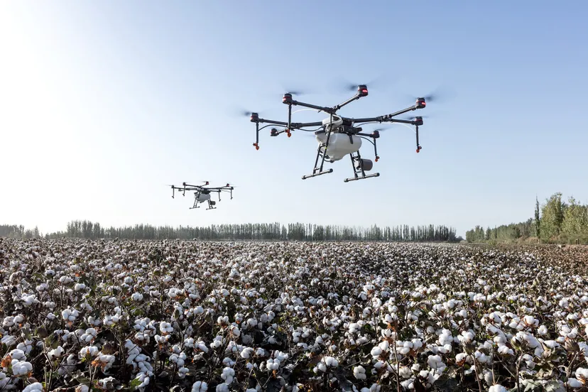 pixabay eudronebewijs