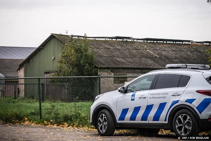 pluimveebedrijf in otterlo uit voorzorg geruimd wegens vogelgriep