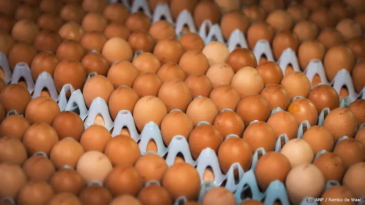 pluimveehouders willen door oorlog meer geld voor eieren