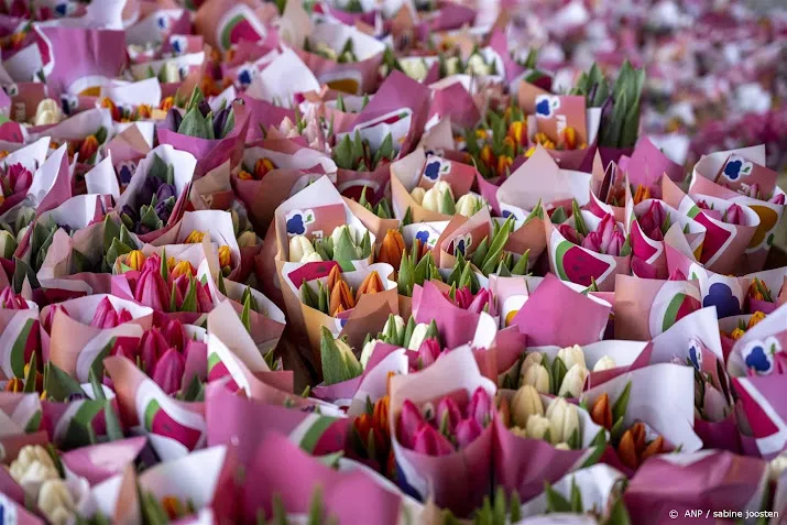 pluktuin op het museumplein voor nationale tulpendag
