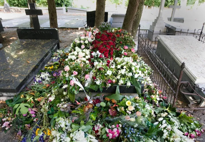 politie den helder zoekt bloemendief kerkhof