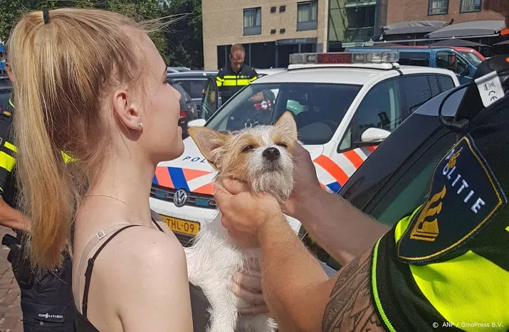 politie haalt hondje uit hete auto