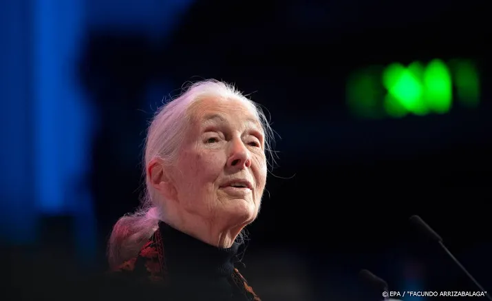 primatologe jane goodall opent bonoboverblijf in ouwehands