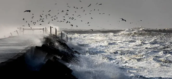 proef moet kust wapenen tegen wassend water