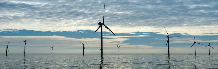 proef voor sterkere onderwaternatuur windpark