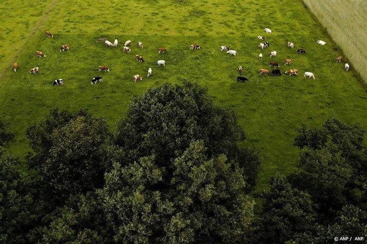 provincies pleiten voor koerswijziging in aanpak landelijk gebied