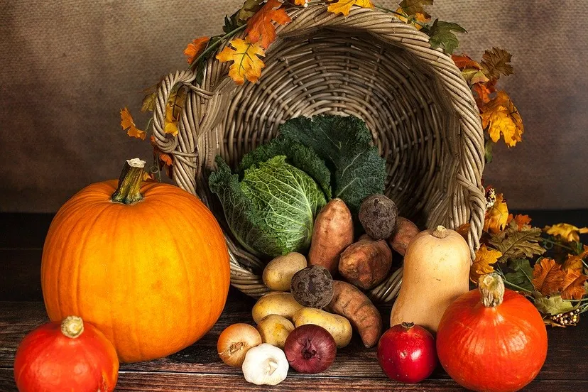 pumpkin 1768857 960 720