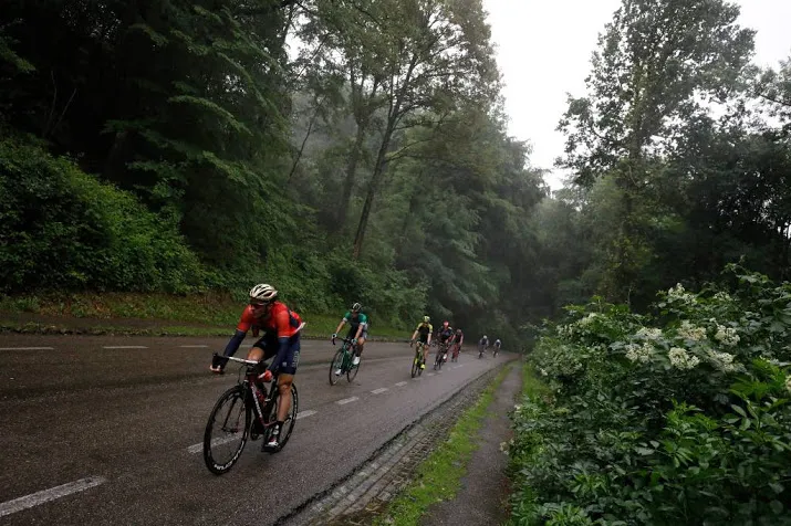 quick step wint hammer series in limburg