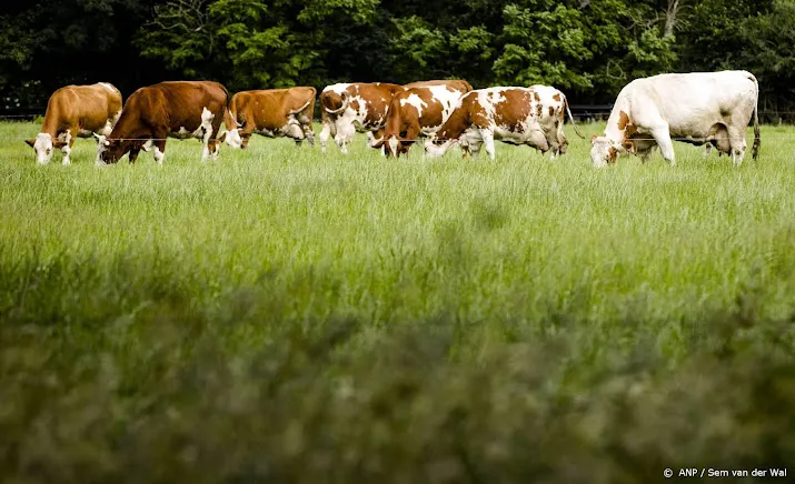 raad van state moet oordelen over emissiearme stal en koe in wei
