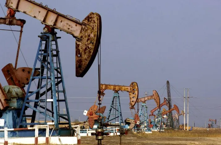 raffinagereus sinopec pompt winst op
