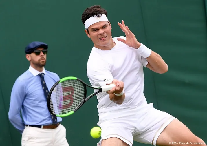 raonic volgende tegenstander van haase