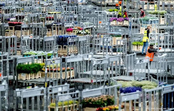 record bloemenexport in aanloop moederdag