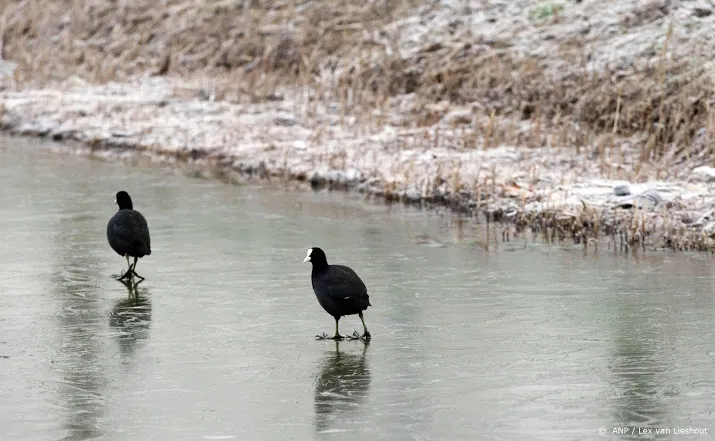 recordlange periode zonder matige vorst in de bilt
