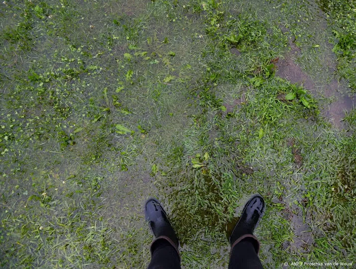 regen leidt tot hoogwater in limburg