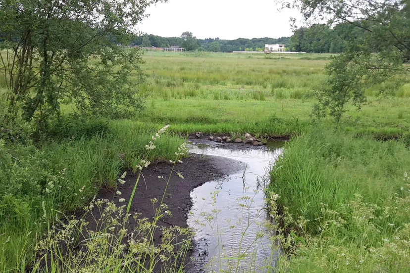 renkum natura2000 gebieden