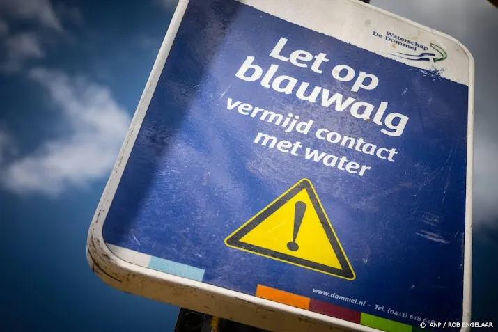 rijkswaterstaat helpt west brabant bij bestrijden blauwalg