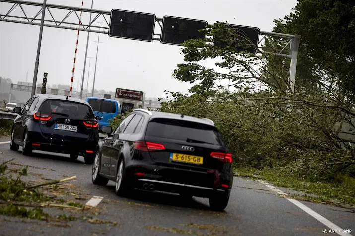 rijkswaterstaat hinder op snelwegen door omgewaaide bomen