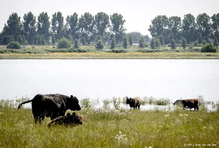 rijkswaterstaat verwacht geen problemen door hoge waterstanden