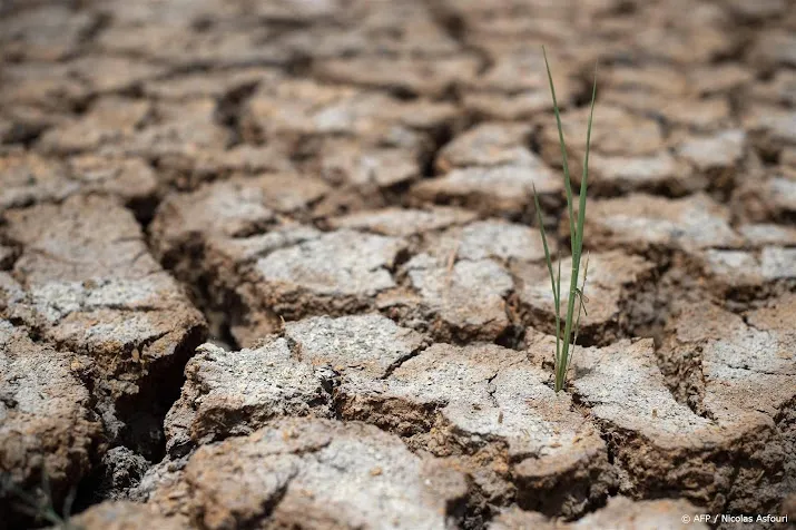 rijstprijzen stijgen tot recordhoogte door droogte in thailand