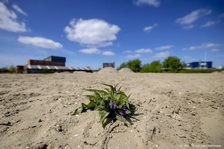 rotterdam neemt maatregelen om stagnatie huizenbouw te voorkomen