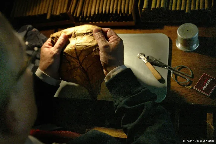 royal agio cigars in deense handen