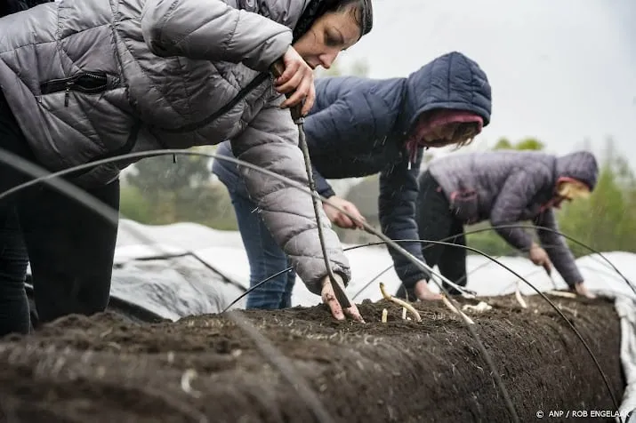 ruim 1 op 3 oekraiense vluchtelingen vond betaalde baan