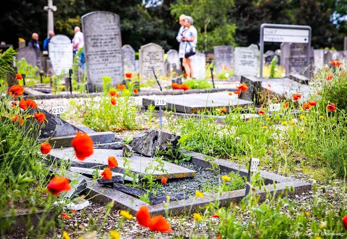 ruim 7000 euro opgehaald voor vernielde graven s gravenzande