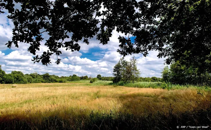 rustige ochtend in natuurgebieden
