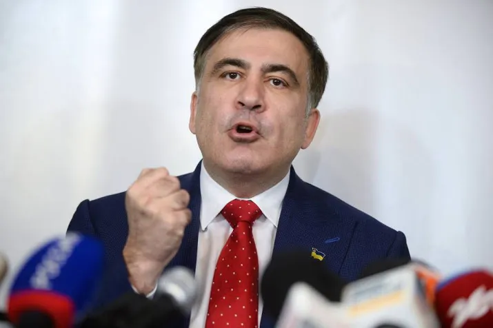 saakasjvili vestigt zich in nederland