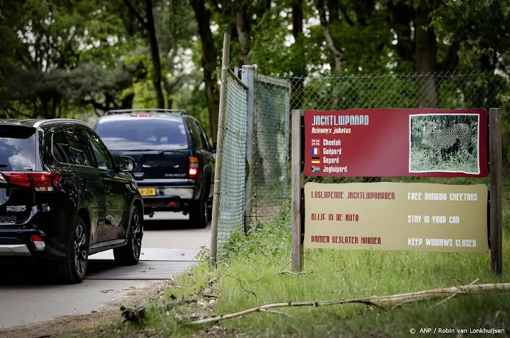 safaripark beekse bergen wordt stembureau