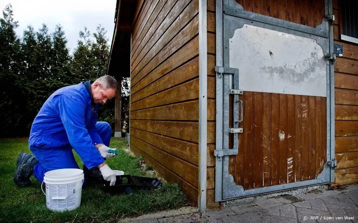 satellietbeelden tonen muizenplaag friesland