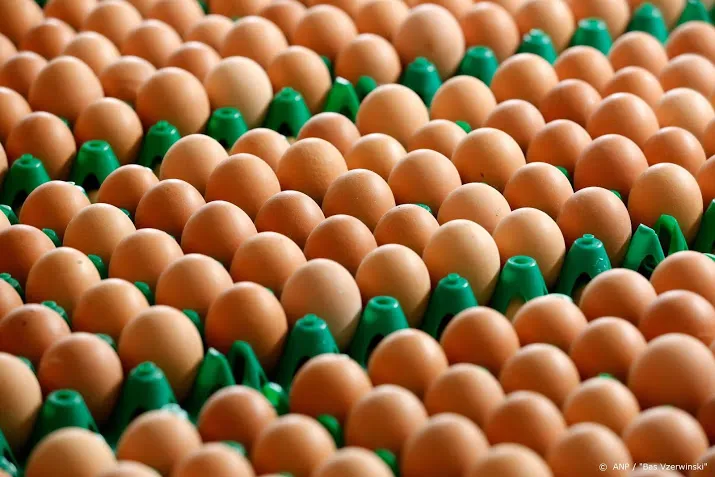 scharreleieren verkocht in dozen voor beter leven exemplaren