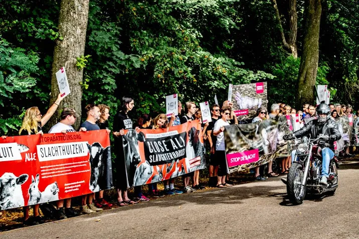 schokkende beelden mishandeling kalfjes