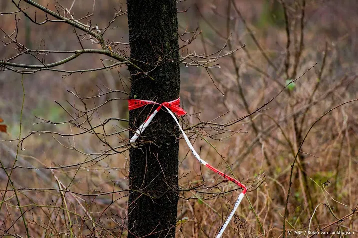 schoolkinderen vinden dode tijdens kamp