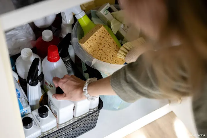 schoonmaken via app helpling is volgens hof uitzendwerk
