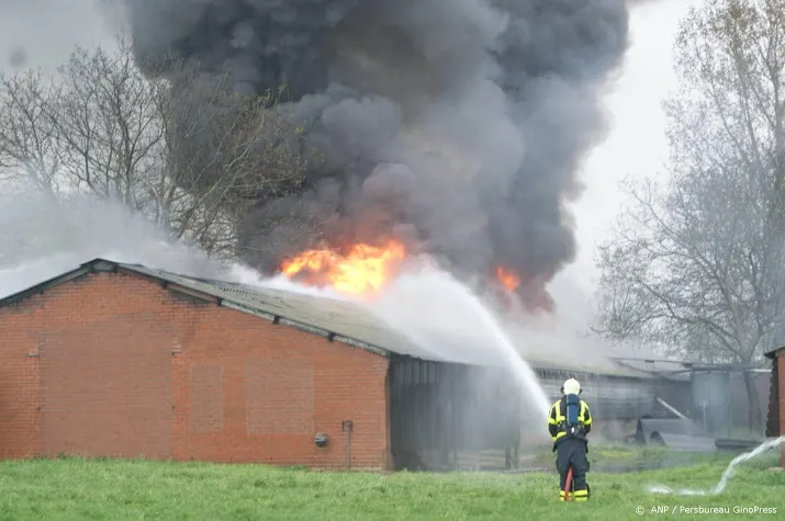 schuur met 30 000 kippen in overijsselse varsen afgebrand